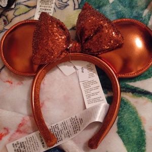 Disney Latest Ears ☃️✨